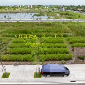 ĐẤT NỀN NHÀ PHỐ LIÊN KẾ | Agora Hoa Hồng 1 - A3.16